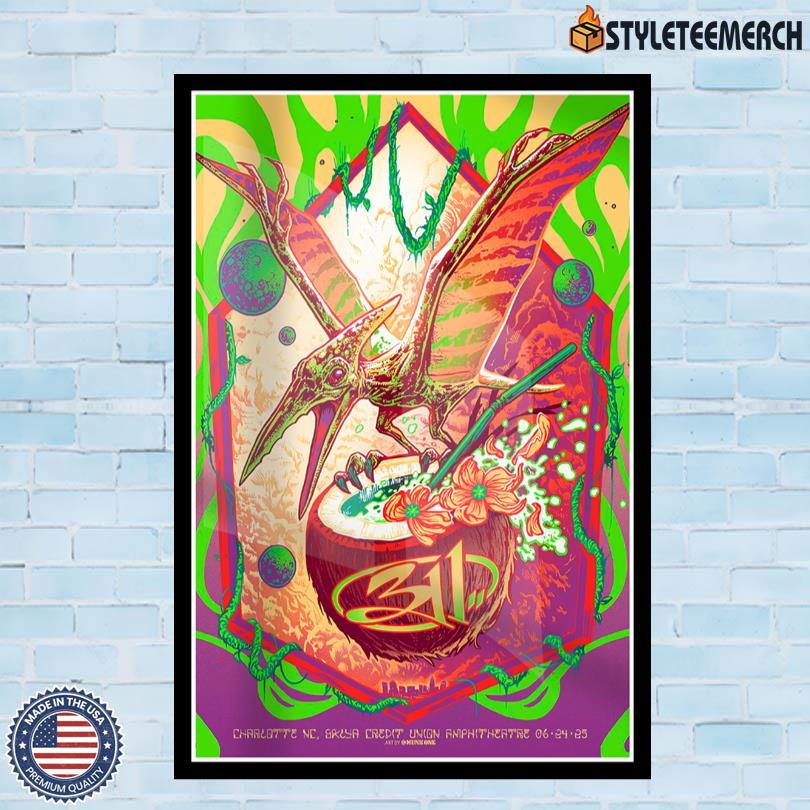 311 Poster June 2025 Charlotte, NC Show 4 311 Poster June 2025 Charlotte, NC Show