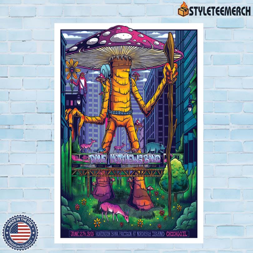 Dave Matthews Band 2025 Tour Chicago IL Poster 4 Dave Matthews Band 2025 Tour Chicago IL Poster
